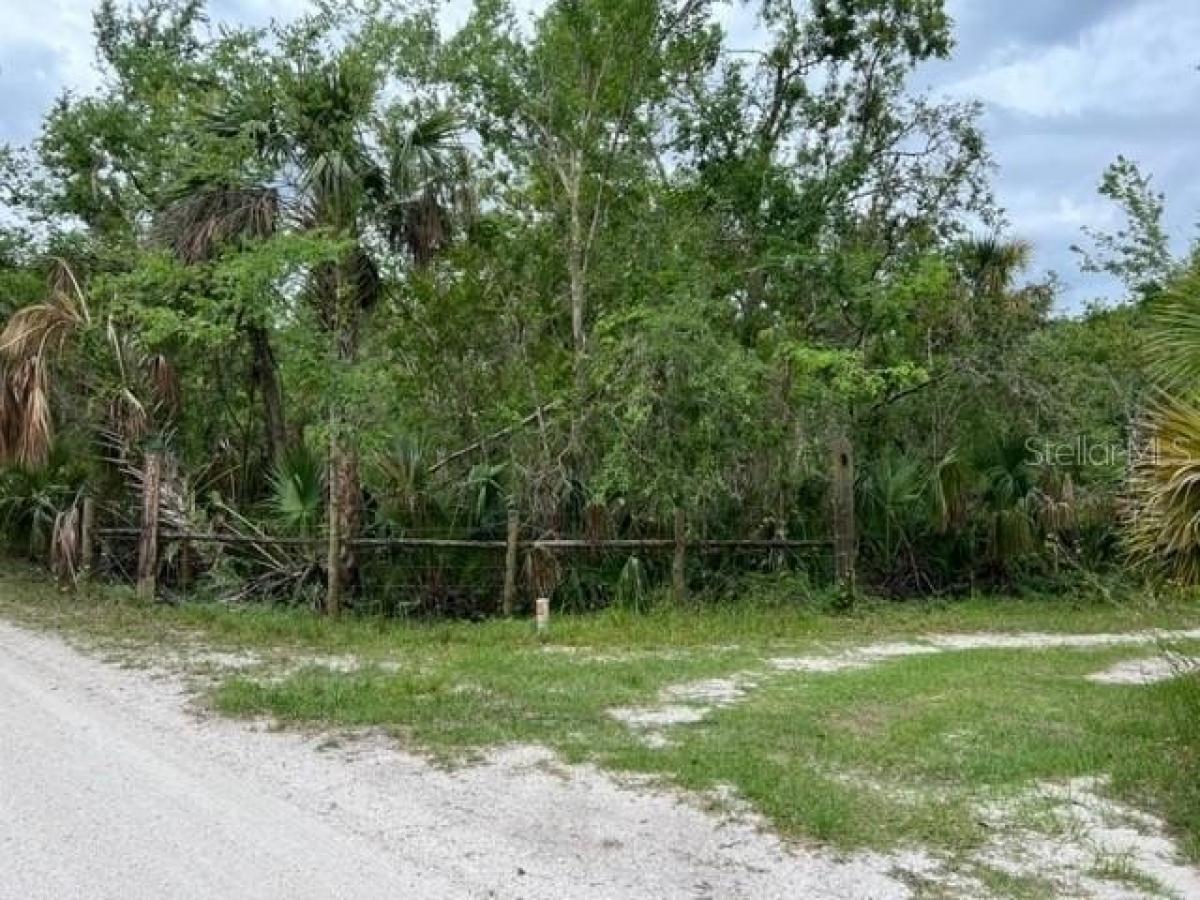 Picture of Residential Land For Sale in Arcadia, Florida, United States