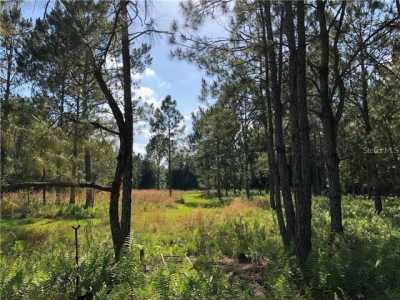 Residential Land For Sale in Thonotosassa, Florida