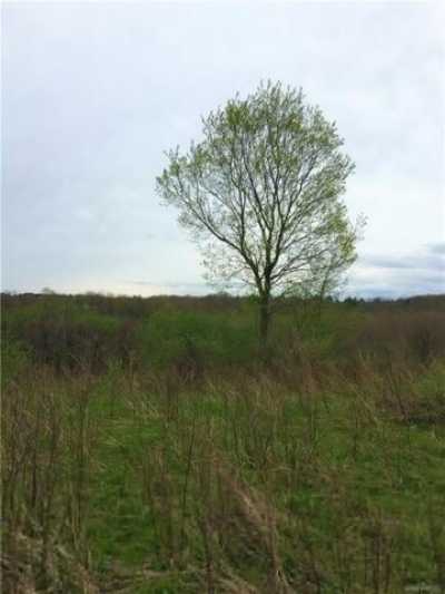 Residential Land For Sale in Colden, New York