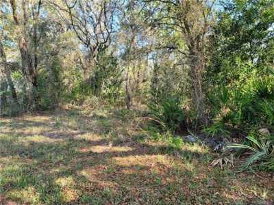 Residential Land For Sale in Homosassa, Florida