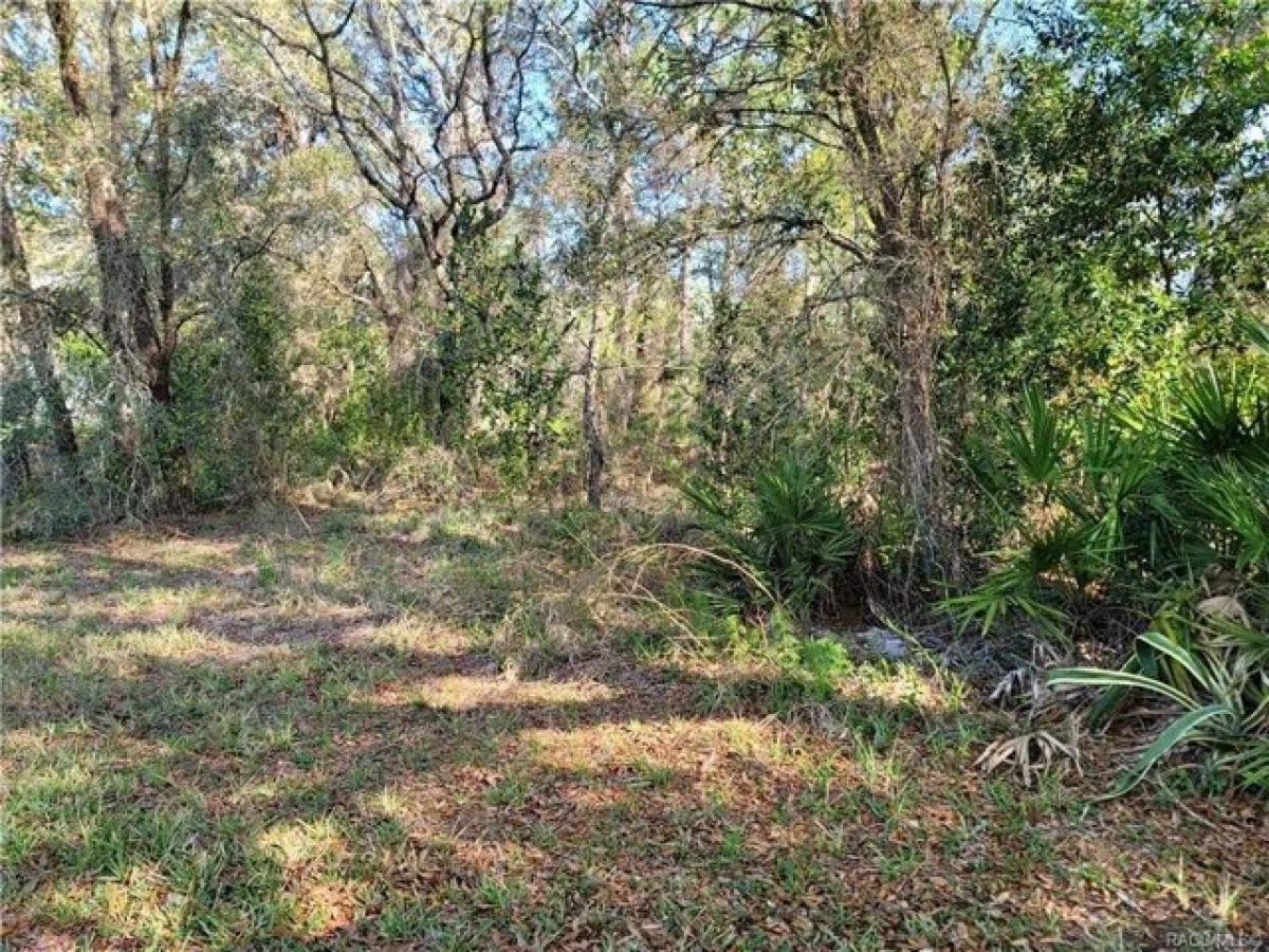 Picture of Residential Land For Sale in Homosassa, Florida, United States