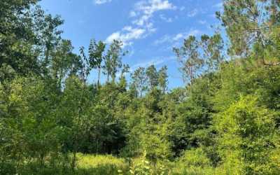 Residential Land For Sale in Lake City, Florida