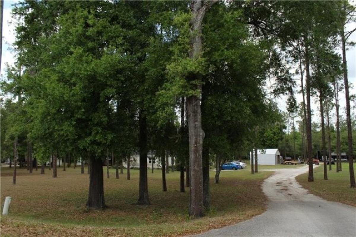 Picture of Residential Land For Sale in Zephyrhills, Florida, United States