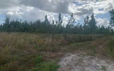 Residential Land For Sale in 