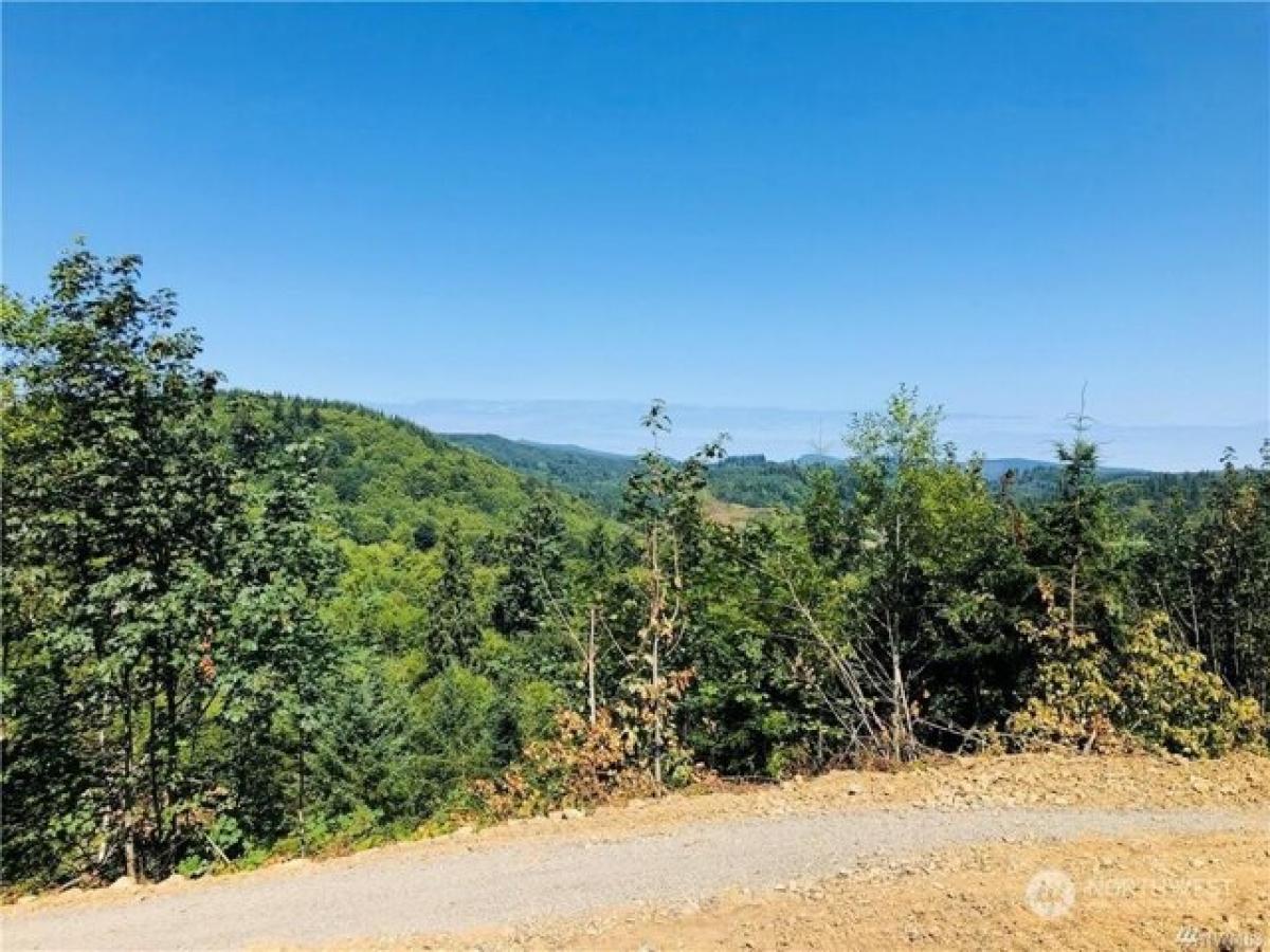 Picture of Residential Land For Sale in Castle Rock, Washington, United States
