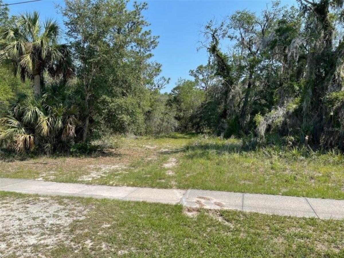 Picture of Residential Land For Sale in Inglis, Florida, United States