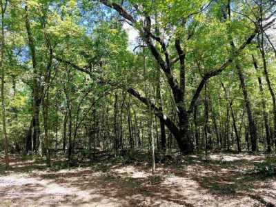 Residential Land For Sale in Greenville, Florida