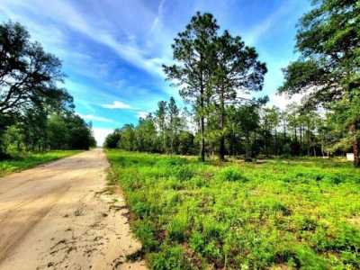 Residential Land For Sale in Williston, Florida