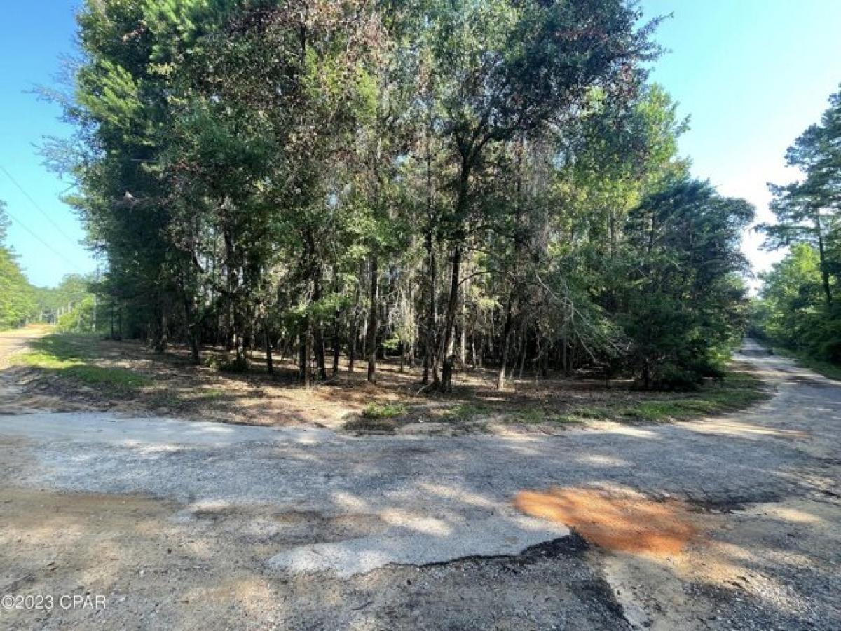 Picture of Residential Land For Sale in Vernon, Florida, United States