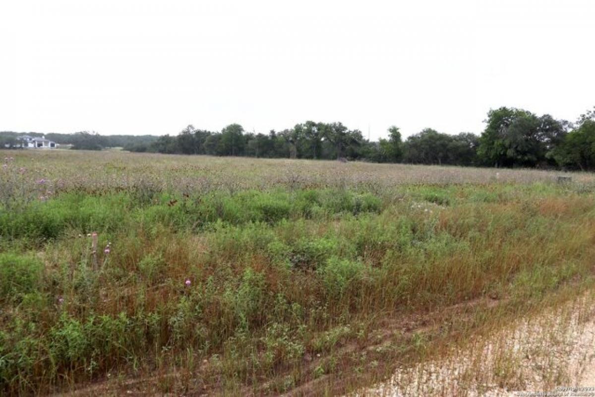 Picture of Residential Land For Sale in Bulverde, Texas, United States