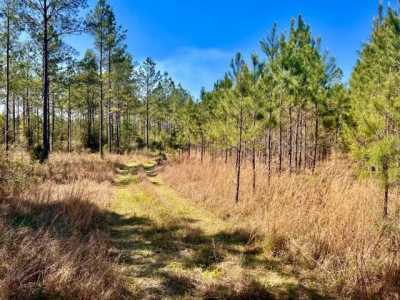 Residential Land For Sale in 