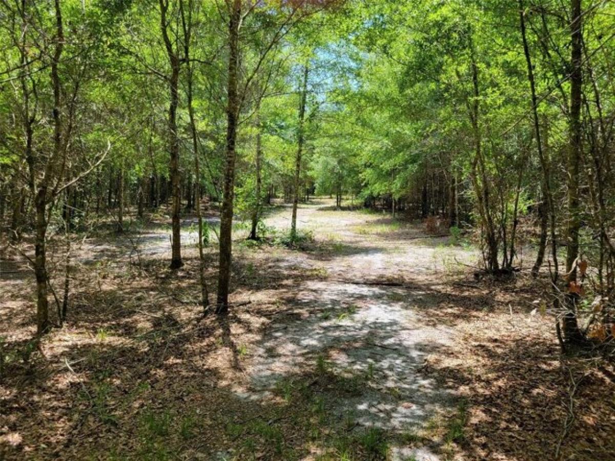 Picture of Residential Land For Sale in Lake City, Florida, United States