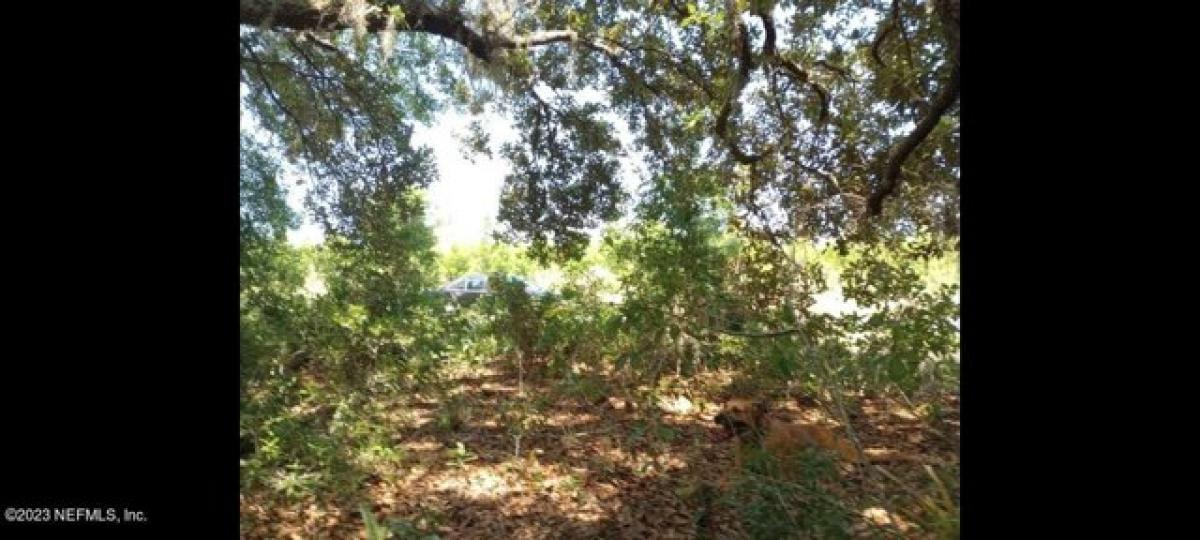 Picture of Residential Land For Sale in Satsuma, Florida, United States