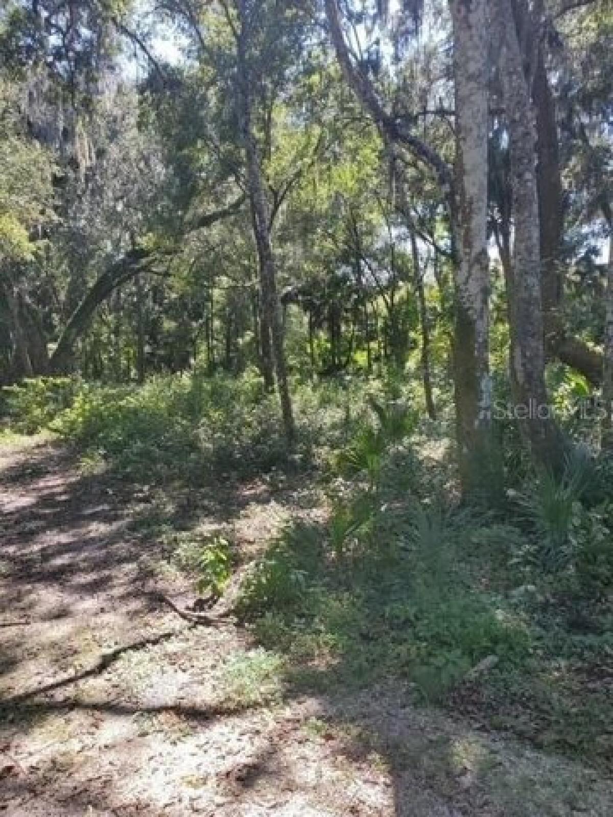 Picture of Residential Land For Sale in Clermont, Florida, United States