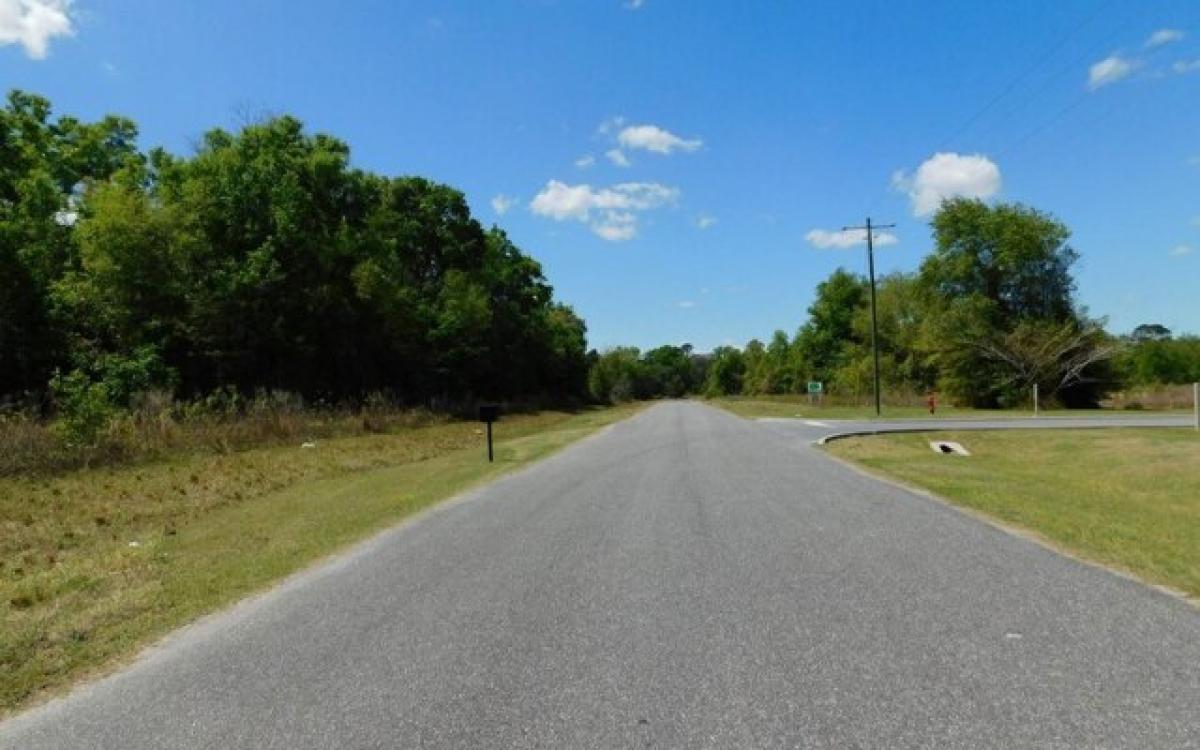 Picture of Residential Land For Sale in Lake City, Florida, United States