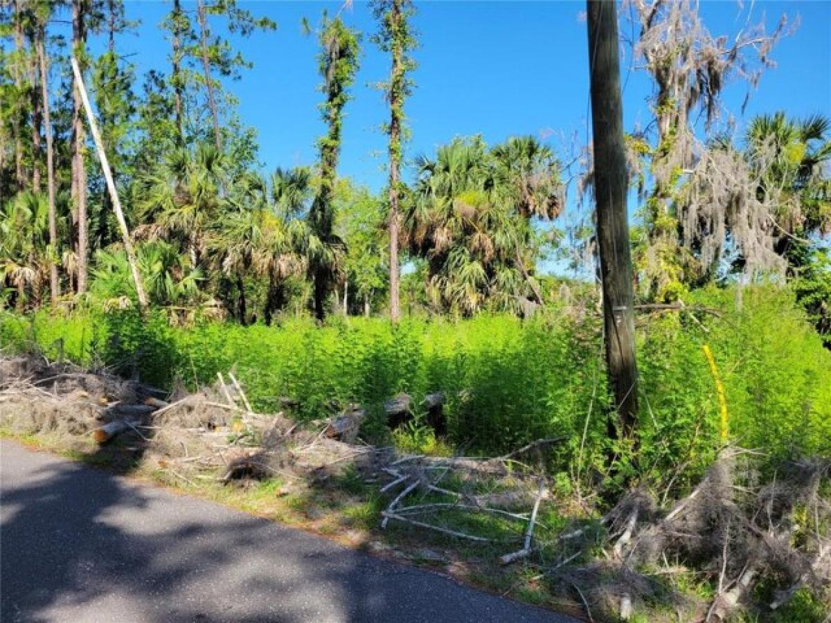 Picture of Residential Land For Sale in Deltona, Florida, United States