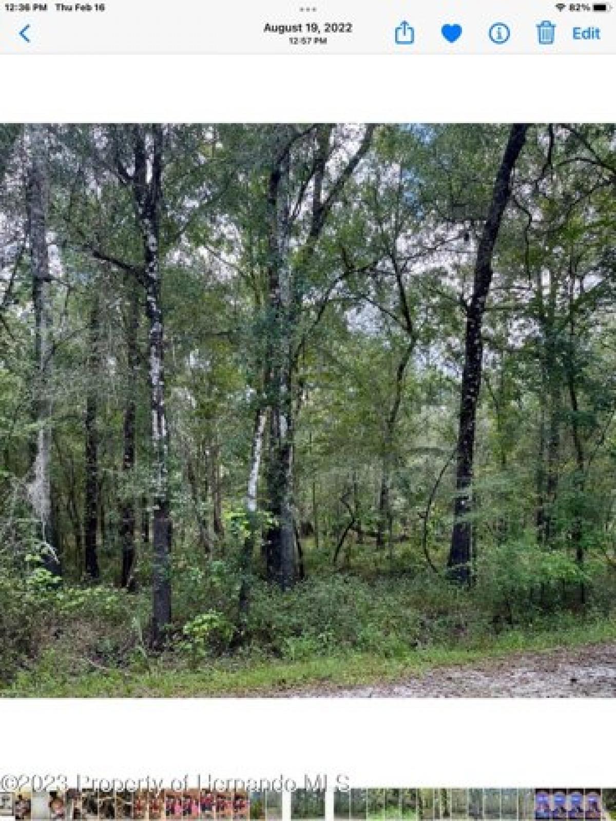 Picture of Residential Land For Sale in Webster, Florida, United States