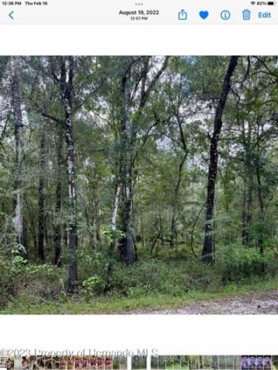 Residential Land For Sale in Webster, Florida