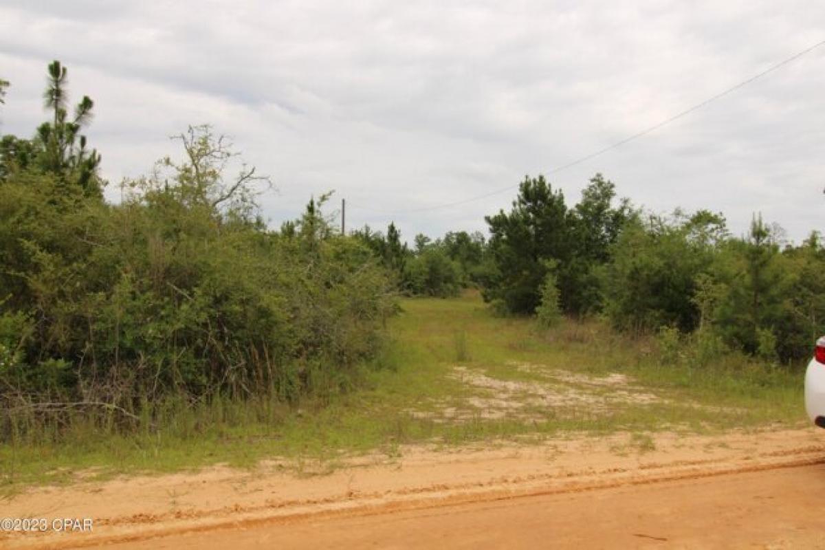 Picture of Residential Land For Sale in Fountain, Florida, United States