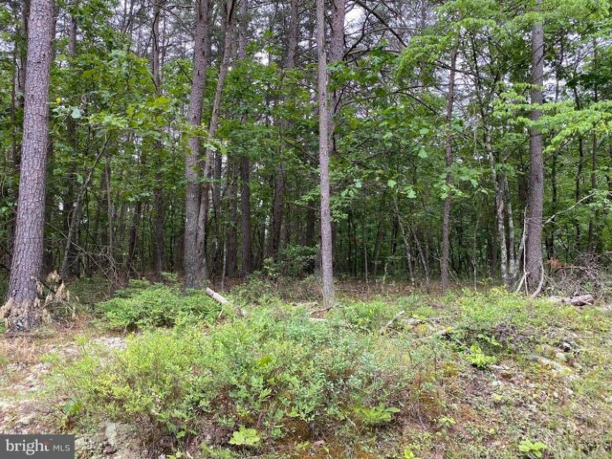 Picture of Residential Land For Sale in Gore, Virginia, United States