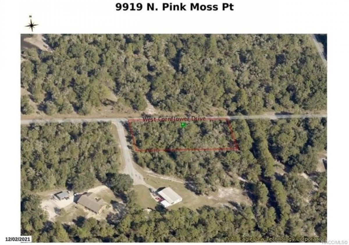 Picture of Residential Land For Sale in Crystal River, Florida, United States