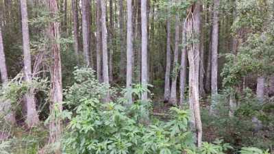 Residential Land For Sale in Tallahassee, Florida