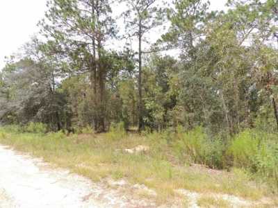 Residential Land For Sale in Williston, Florida