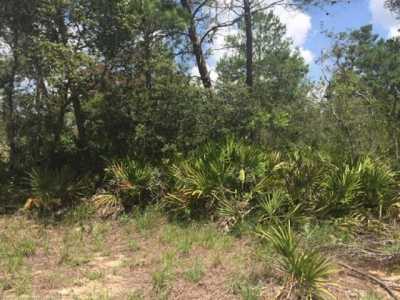 Residential Land For Sale in Avon Park, Florida