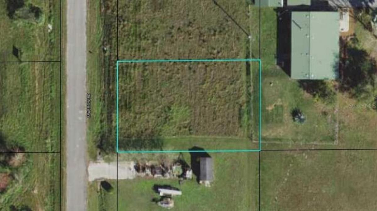 Picture of Residential Land For Sale in Wauchula, Florida, United States