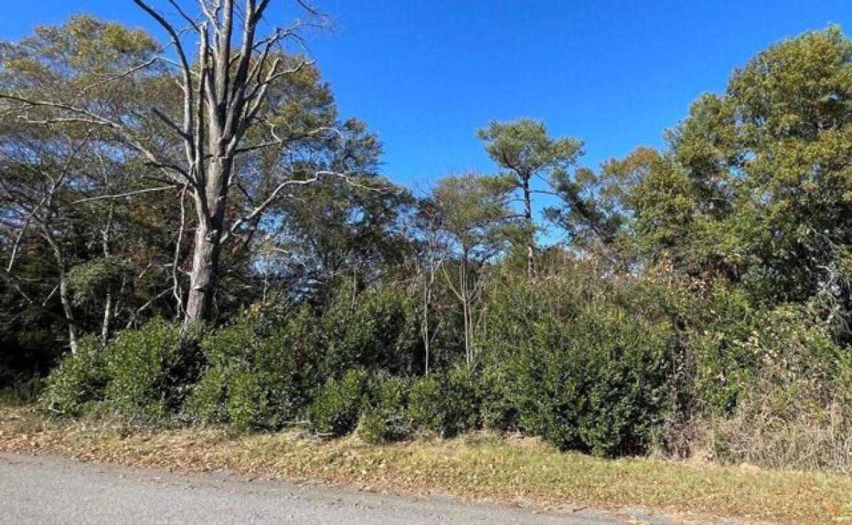 Picture of Residential Land For Sale in Belvedere, South Carolina, United States