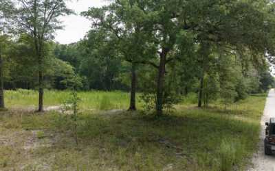 Residential Land For Sale in Live Oak, Florida