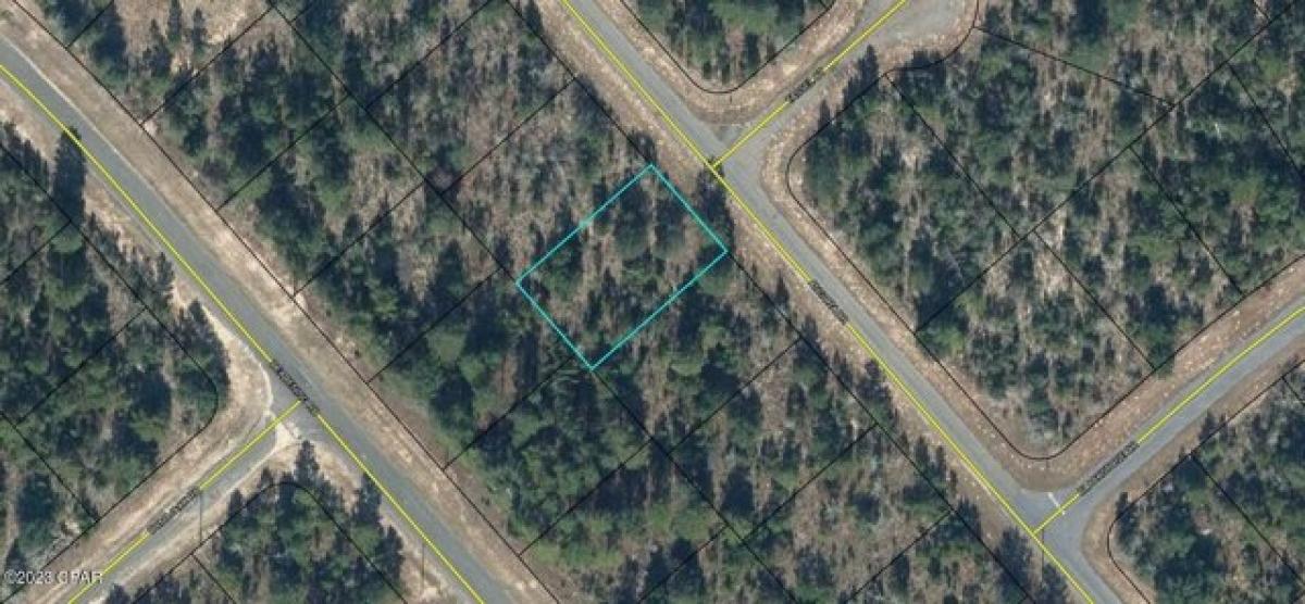 Picture of Residential Land For Sale in Chipley, Florida, United States