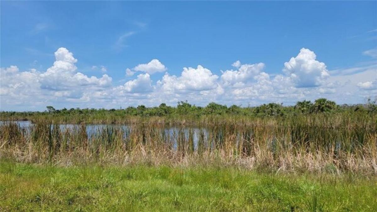 Picture of Residential Land For Sale in Placida, Florida, United States