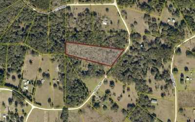 Residential Land For Sale in Mcalpin, Florida