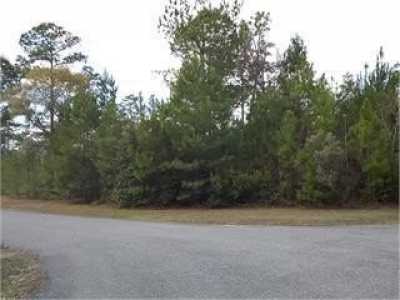 Residential Land For Sale in Woodbine, Georgia