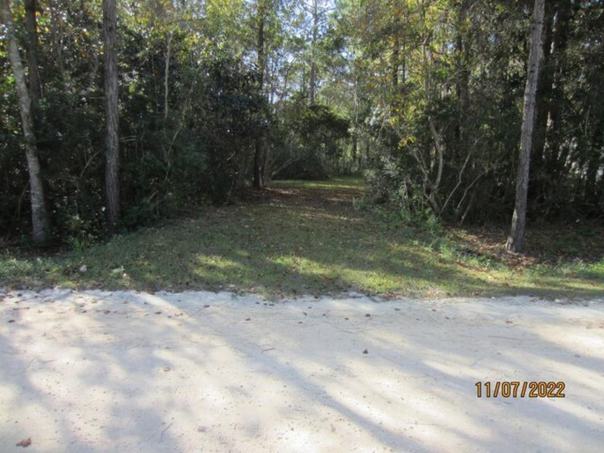 Picture of Residential Land For Sale in Santa Rosa Beach, Florida, United States