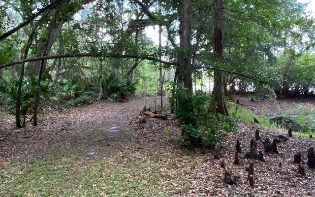 Picture of Residential Land For Sale in Branford, Florida, United States