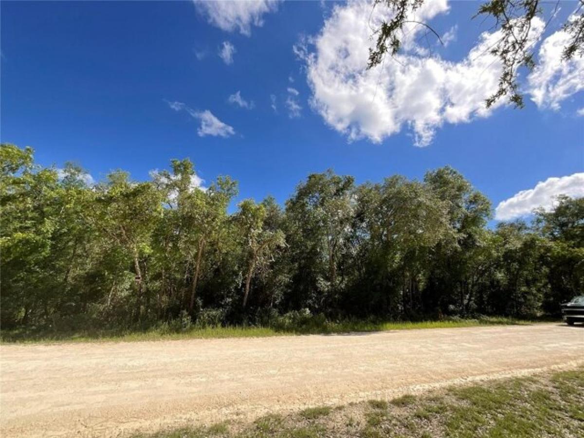 Picture of Residential Land For Sale in Webster, Florida, United States