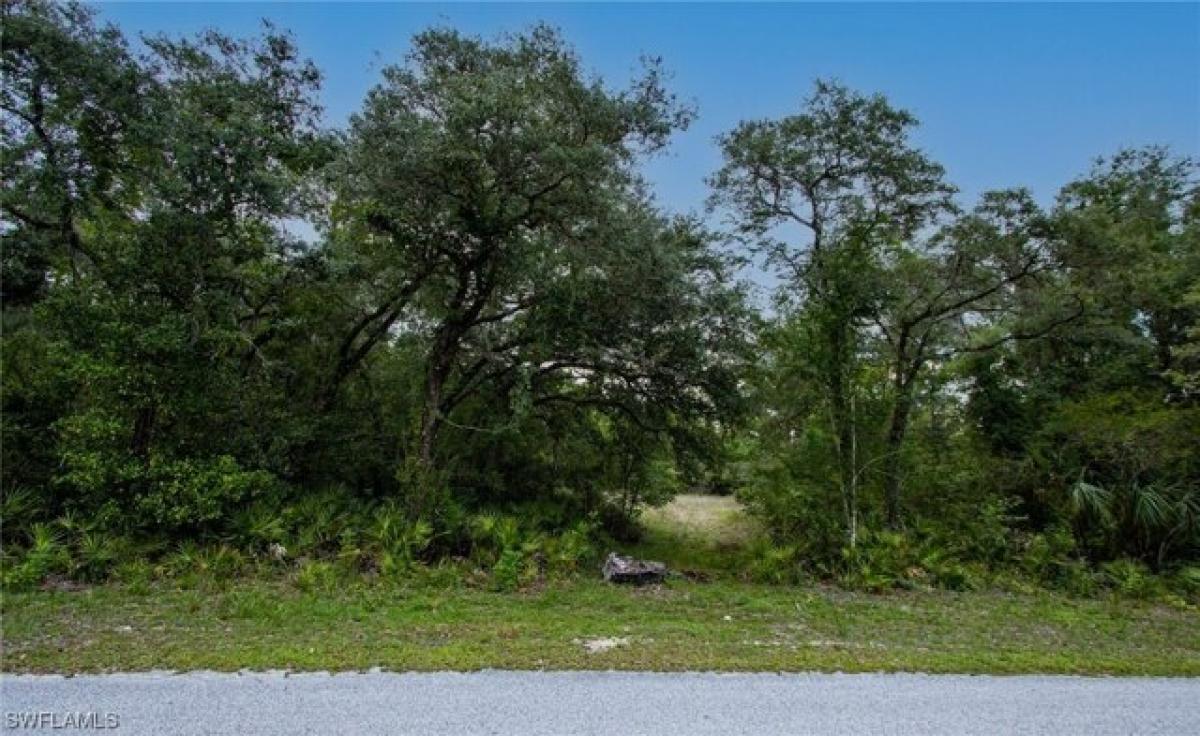 Picture of Residential Land For Sale in Webster, Florida, United States