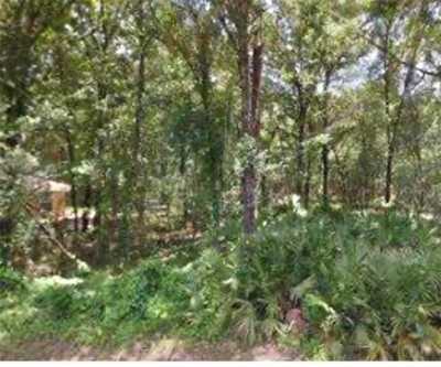 Residential Land For Sale in Inverness, Florida