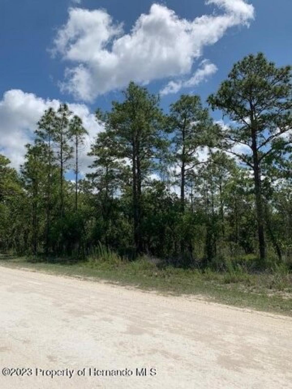 Picture of Residential Land For Sale in Weeki Wachee, Florida, United States