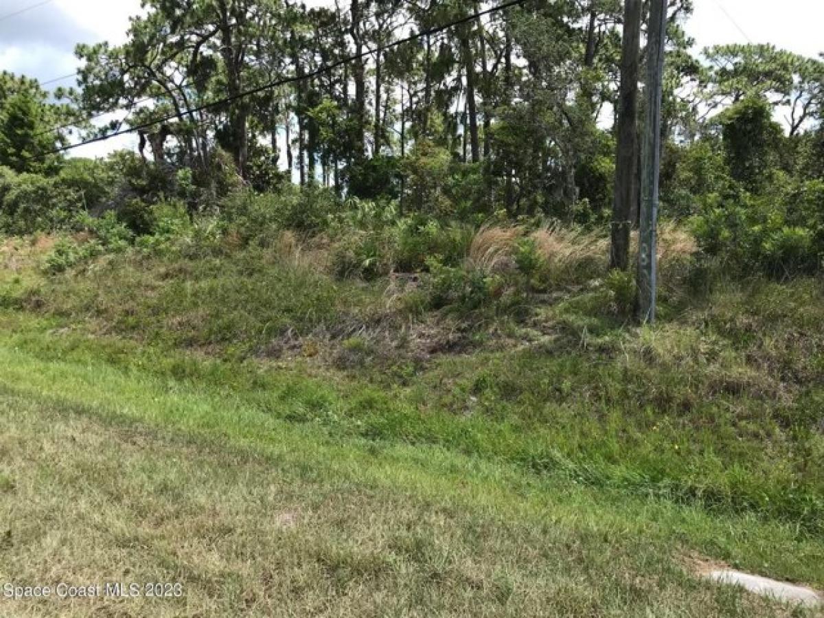 Picture of Residential Land For Sale in Mims, Florida, United States