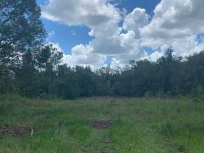 Residential Land For Sale in Cross City, Florida