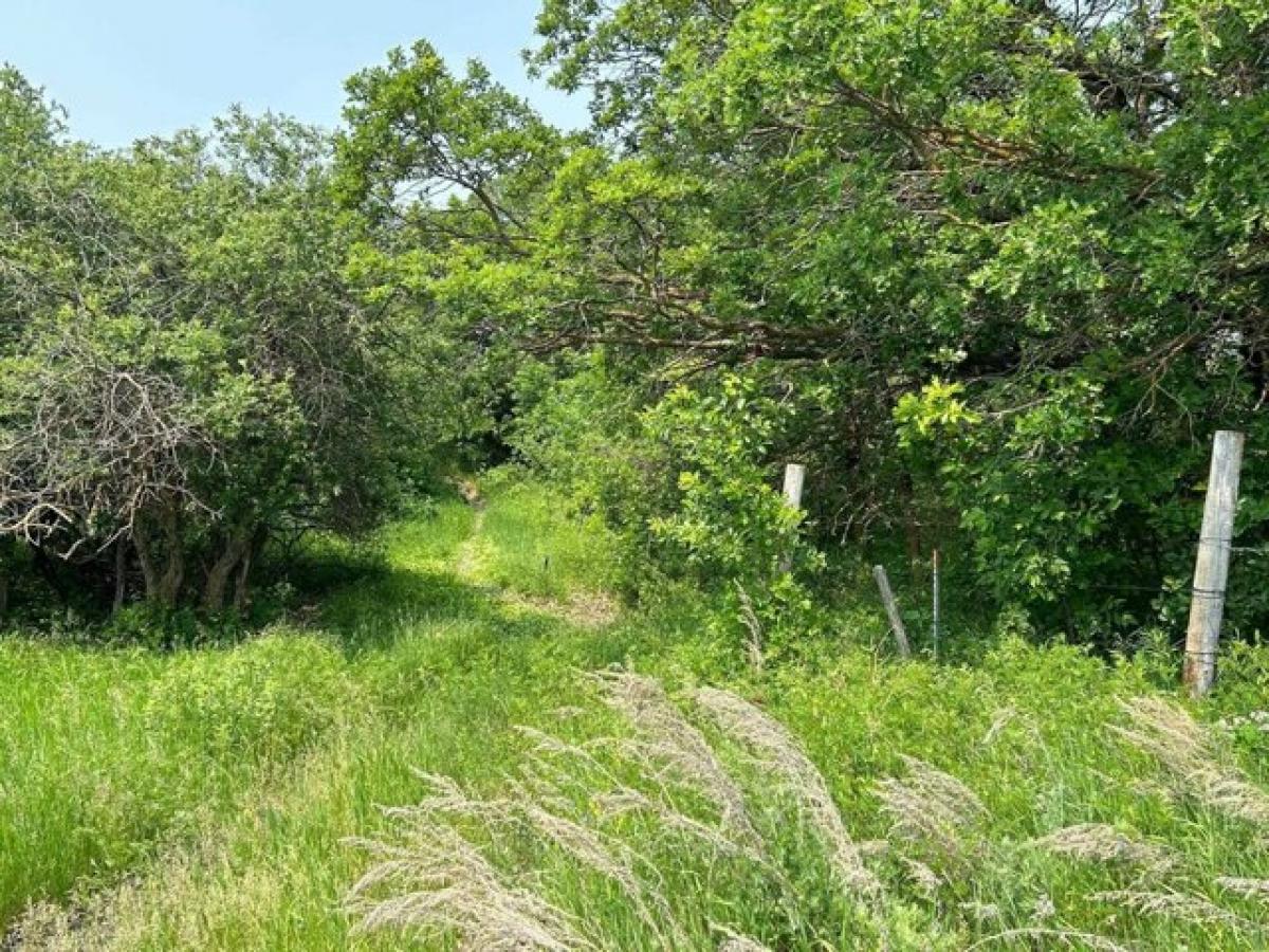 Picture of Home For Sale in Bottineau, North Dakota, United States