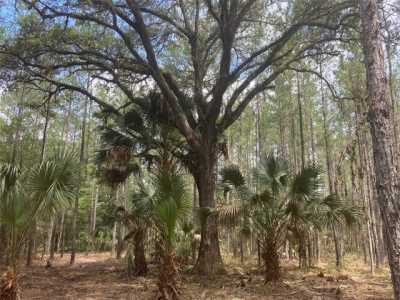 Residential Land For Sale in Fort Mccoy, Florida