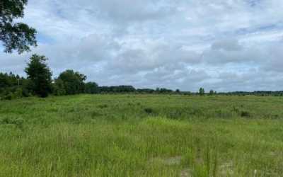 Residential Land For Sale in Mayo, Florida