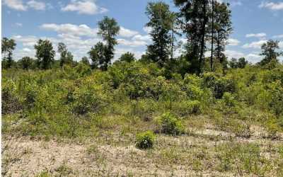 Residential Land For Sale in Lake City, Florida