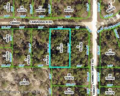 Residential Land For Sale in Weeki Wachee, Florida