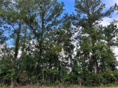 Residential Land For Sale in Woodbine, Georgia