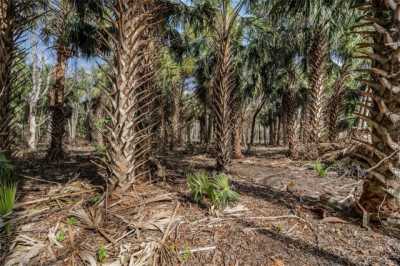 Residential Land For Sale in Sanford, Florida